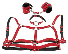 4-teiliges Harness-Set in Leder-Optik